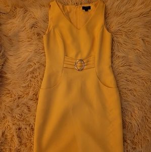 Tahari midi dress